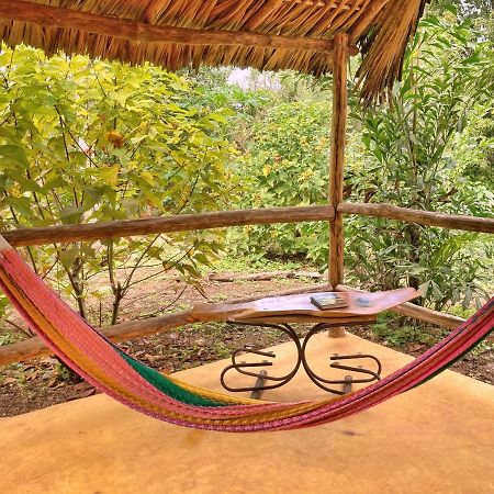 Encantadora Villa Maya Tradicional En Rancho Agroecologico Tzucacab Exterior foto