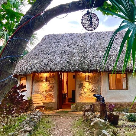 Encantadora Villa Maya Tradicional En Rancho Agroecologico Tzucacab Exterior foto