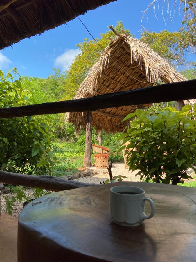 Encantadora Villa Maya Tradicional En Rancho Agroecologico Tzucacab Exterior foto