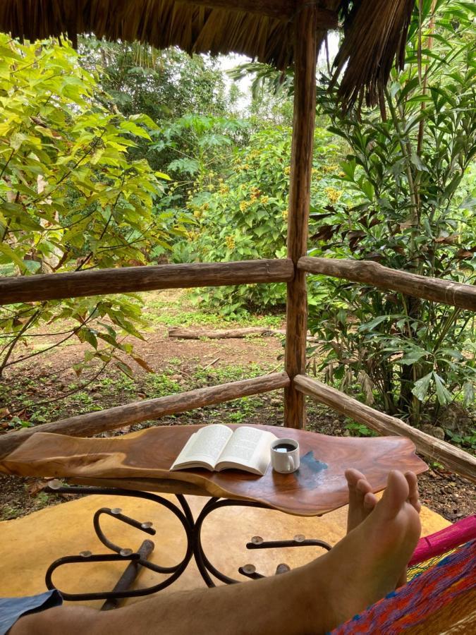 Encantadora Villa Maya Tradicional En Rancho Agroecologico Tzucacab Exterior foto