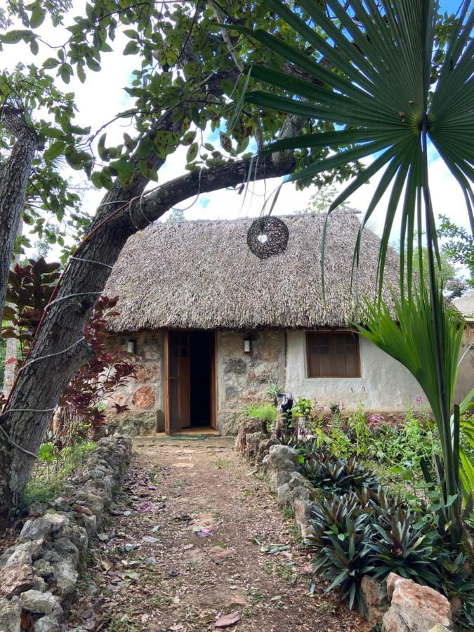 Encantadora Villa Maya Tradicional En Rancho Agroecologico Tzucacab Exterior foto