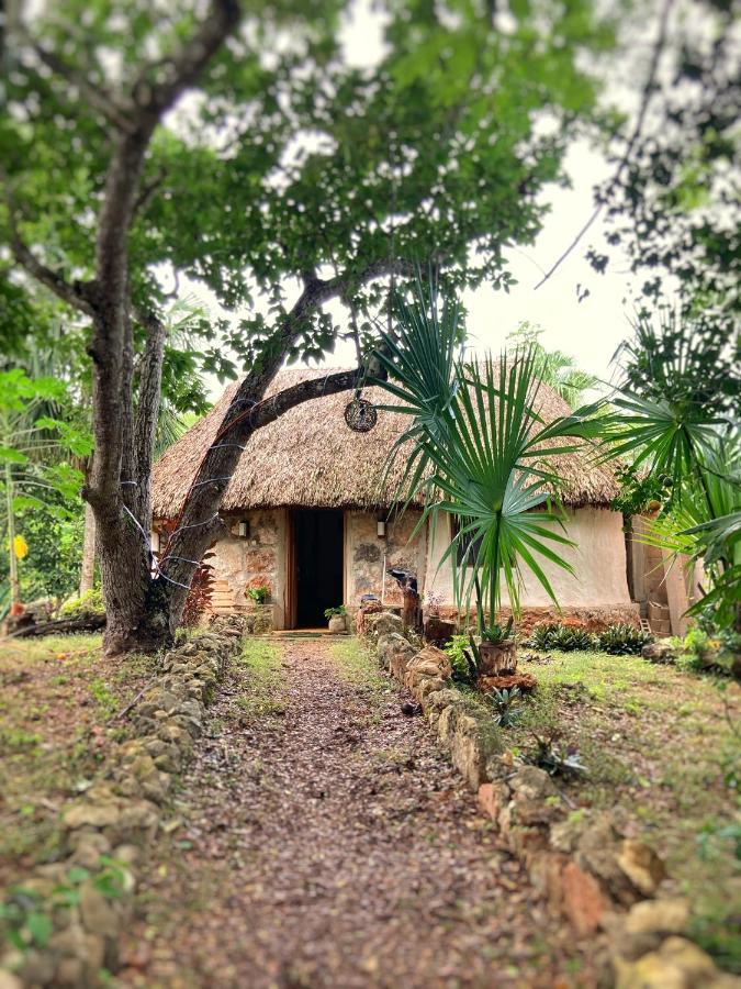 Encantadora Villa Maya Tradicional En Rancho Agroecologico Tzucacab Exterior foto