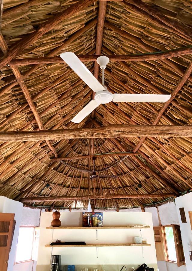 Encantadora Villa Maya Tradicional En Rancho Agroecologico Tzucacab Exterior foto