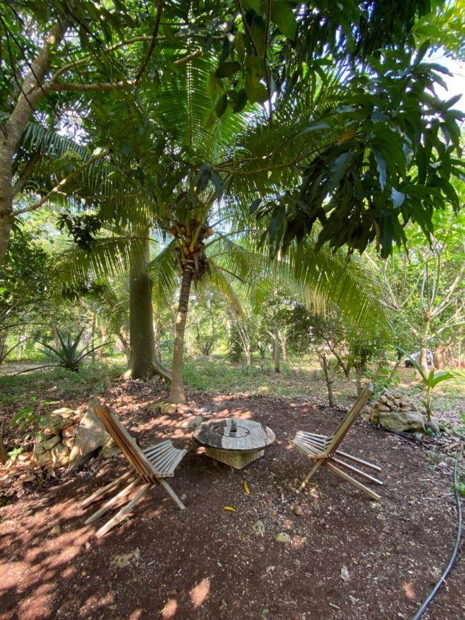 Encantadora Villa Maya Tradicional En Rancho Agroecologico Tzucacab Exterior foto