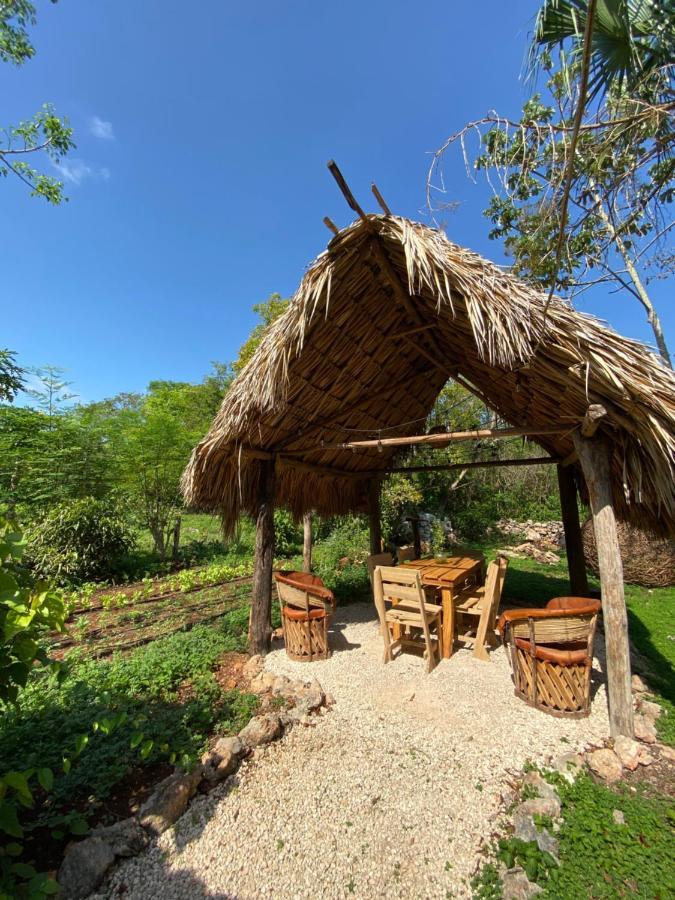 Encantadora Villa Maya Tradicional En Rancho Agroecologico Tzucacab Exterior foto
