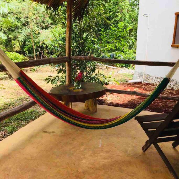 Encantadora Villa Maya Tradicional En Rancho Agroecologico Tzucacab Exterior foto