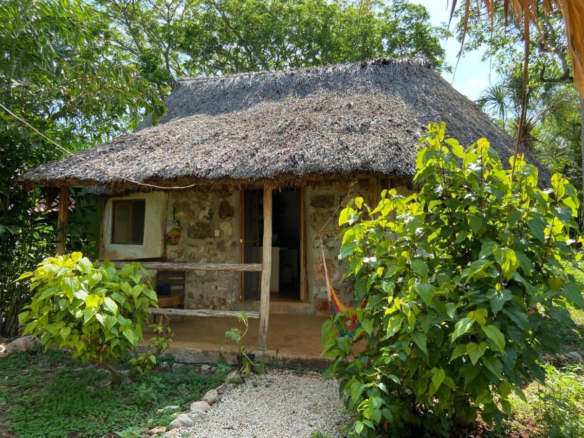 Encantadora Villa Maya Tradicional En Rancho Agroecologico Tzucacab Exterior foto