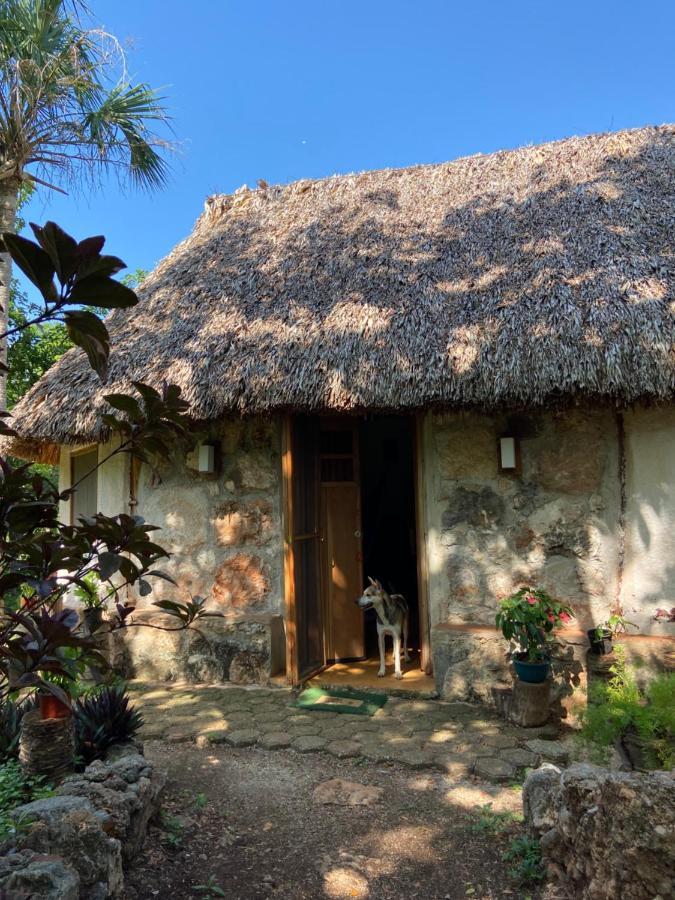 Encantadora Villa Maya Tradicional En Rancho Agroecologico Tzucacab Exterior foto