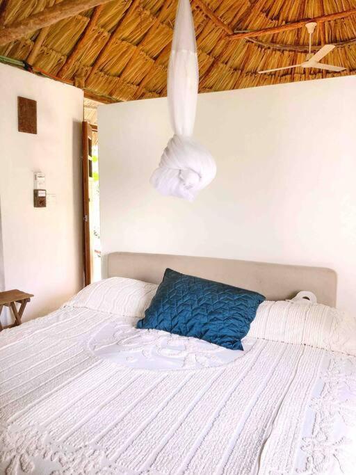 Encantadora Villa Maya Tradicional En Rancho Agroecologico Tzucacab Exterior foto