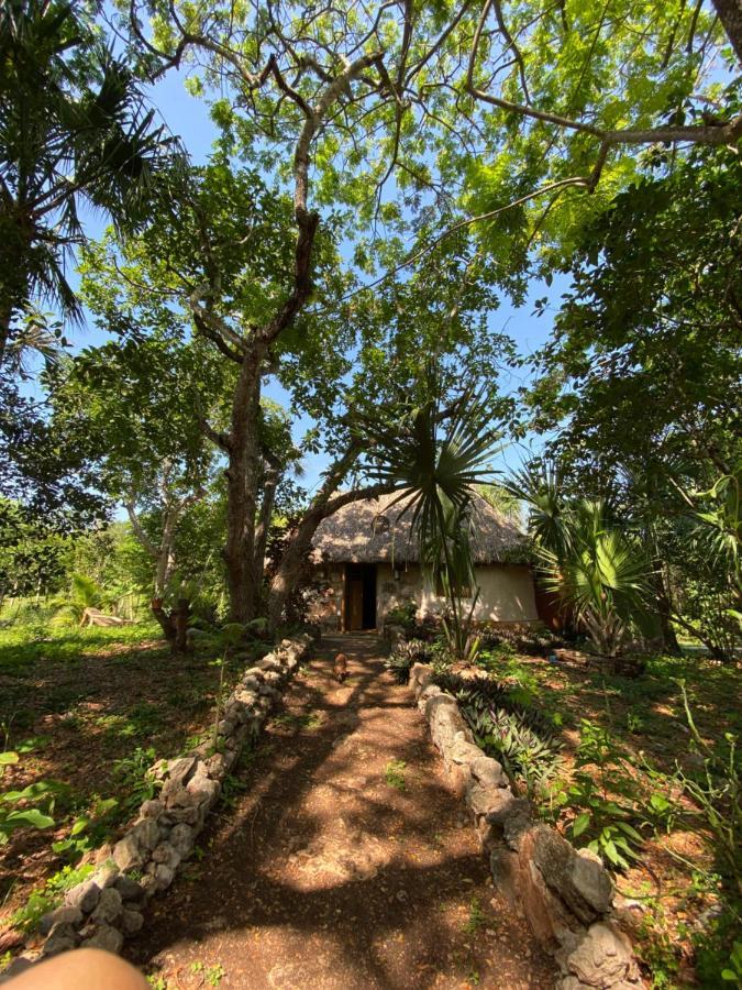 Encantadora Villa Maya Tradicional En Rancho Agroecologico Tzucacab Exterior foto