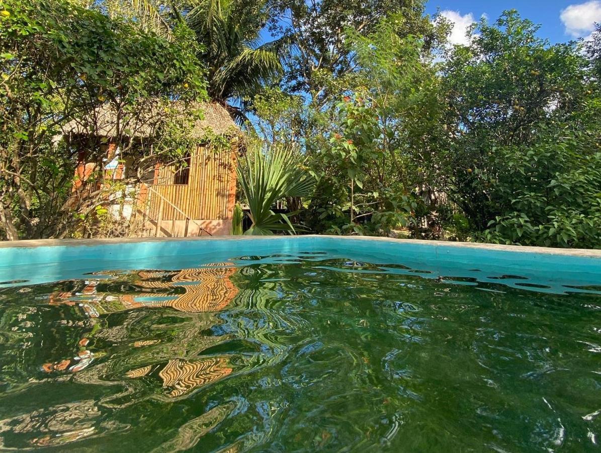 Encantadora Villa Maya Tradicional En Rancho Agroecologico Tzucacab Exterior foto