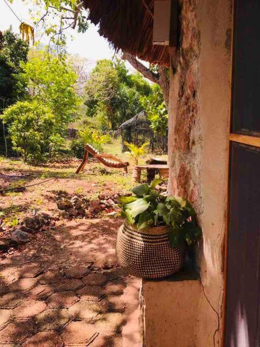 Encantadora Villa Maya Tradicional En Rancho Agroecologico Tzucacab Exterior foto