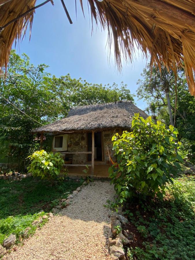 Encantadora Villa Maya Tradicional En Rancho Agroecologico Tzucacab Exterior foto