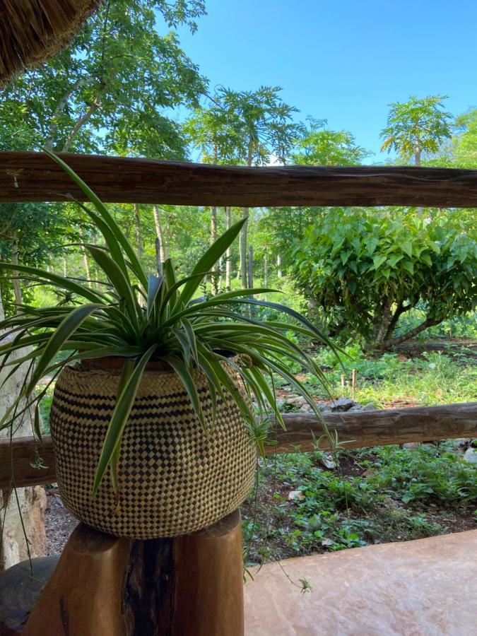 Encantadora Villa Maya Tradicional En Rancho Agroecologico Tzucacab Exterior foto