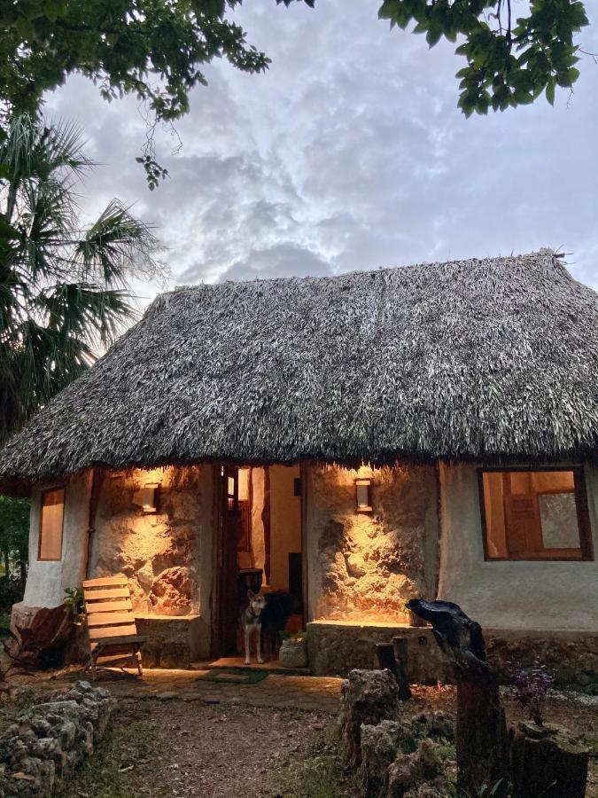 Encantadora Villa Maya Tradicional En Rancho Agroecologico Tzucacab Exterior foto