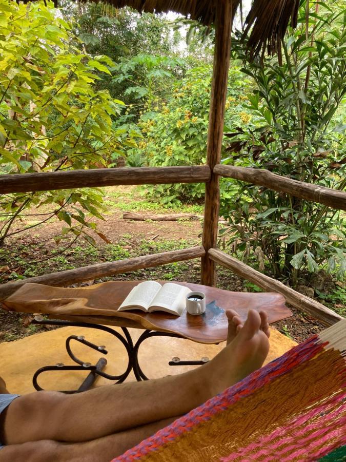 Encantadora Villa Maya Tradicional En Rancho Agroecologico Tzucacab Exterior foto