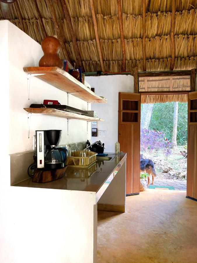 Encantadora Villa Maya Tradicional En Rancho Agroecologico Tzucacab Exterior foto