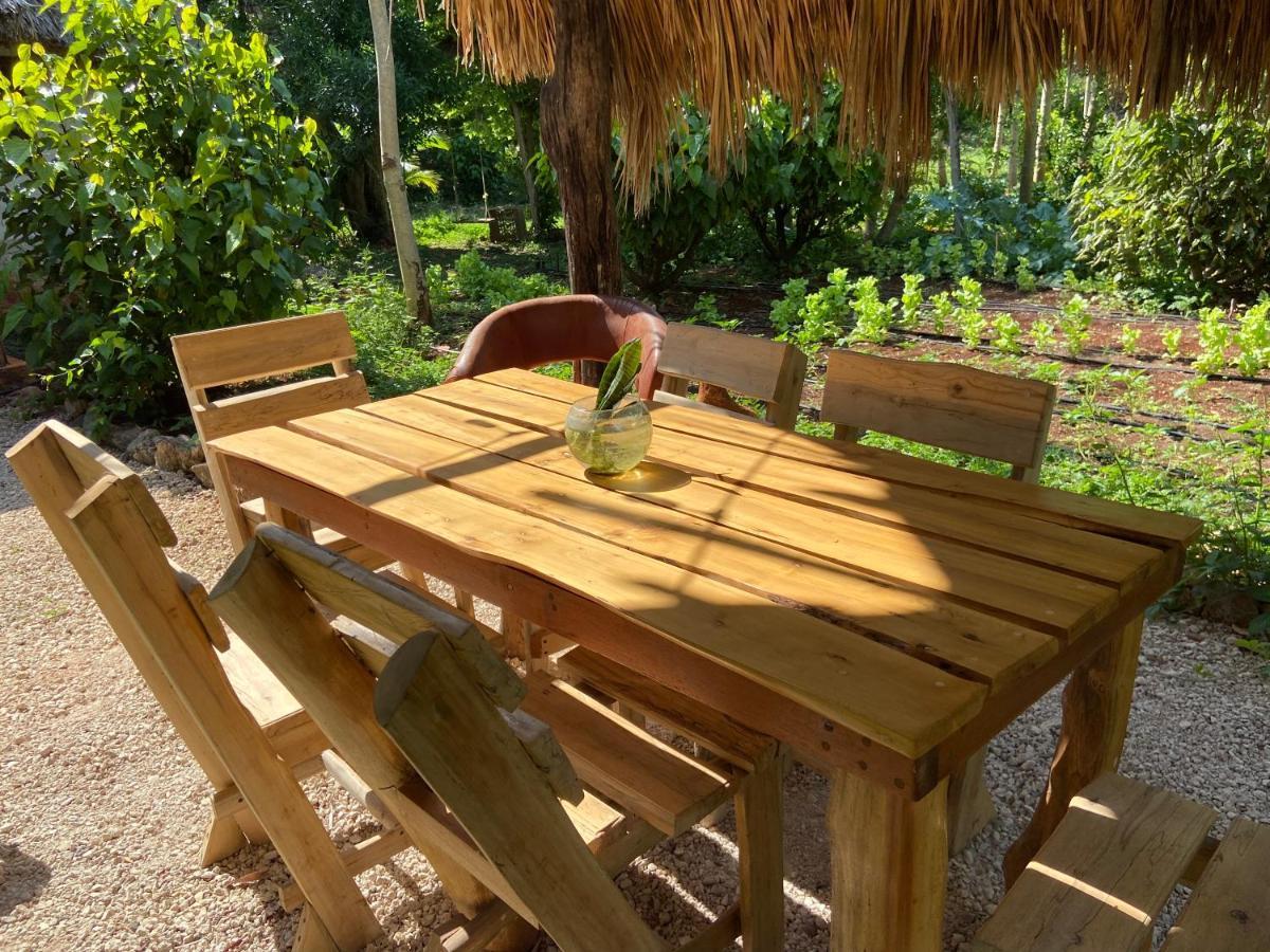 Encantadora Villa Maya Tradicional En Rancho Agroecologico Tzucacab Exterior foto