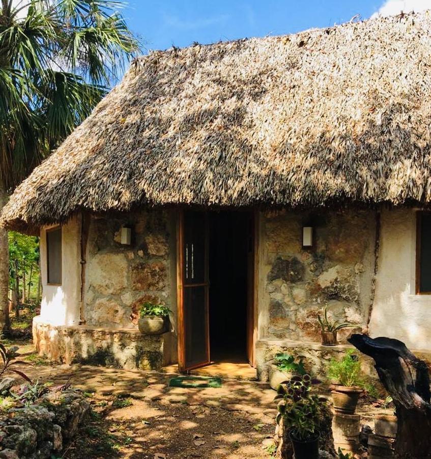 Encantadora Villa Maya Tradicional En Rancho Agroecologico Tzucacab Exterior foto