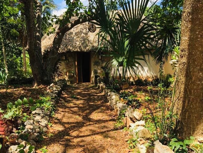 Encantadora Villa Maya Tradicional En Rancho Agroecologico Tzucacab Exterior foto