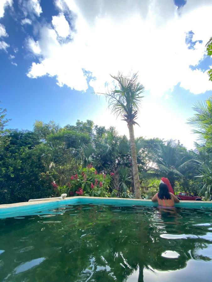Encantadora Villa Maya Tradicional En Rancho Agroecologico Tzucacab Exterior foto